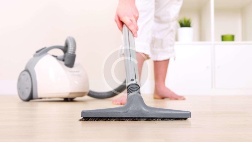 The Professional Cleaning